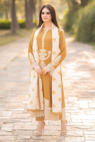 QALMKAR 3 PIECE Dhanak Winter