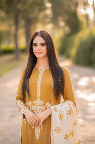 QALMKAR 3 PIECE Dhanak Winter